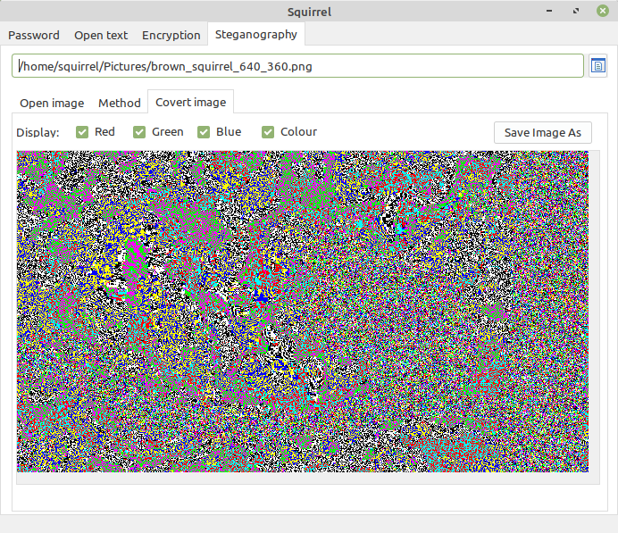 brown
            squirrel 7th bit